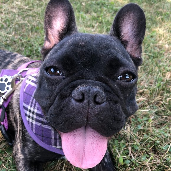 Meet your Posher, Erika - Picture 2 of 2